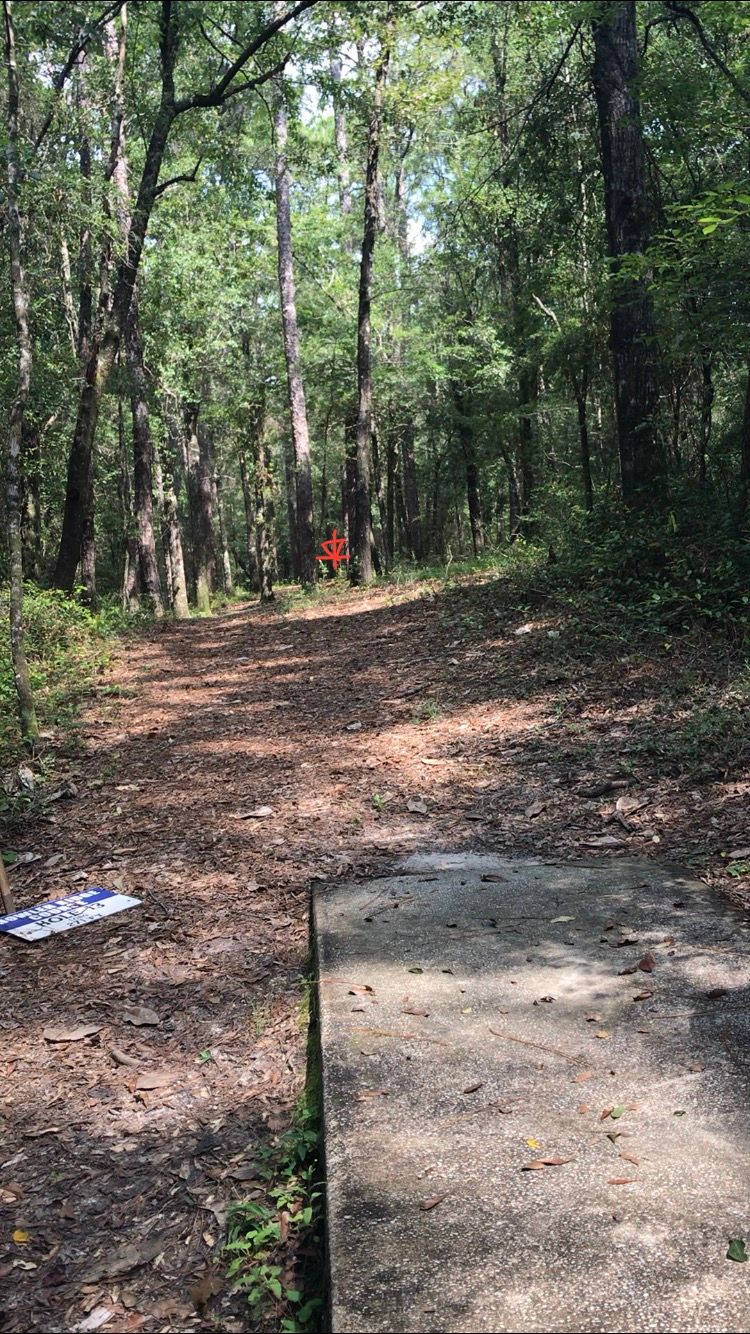 Hole 13: Straight then slightly right