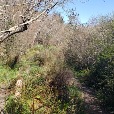 Hole 5