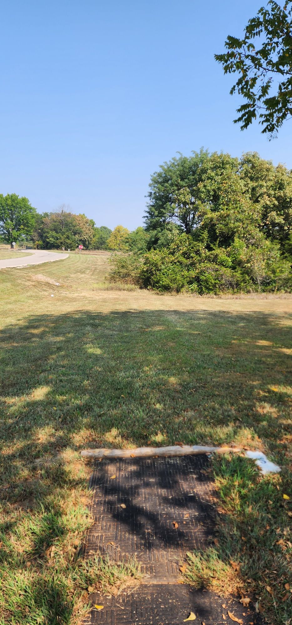 Hole 5