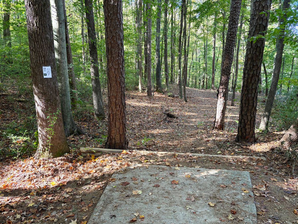 Hole 11 tee