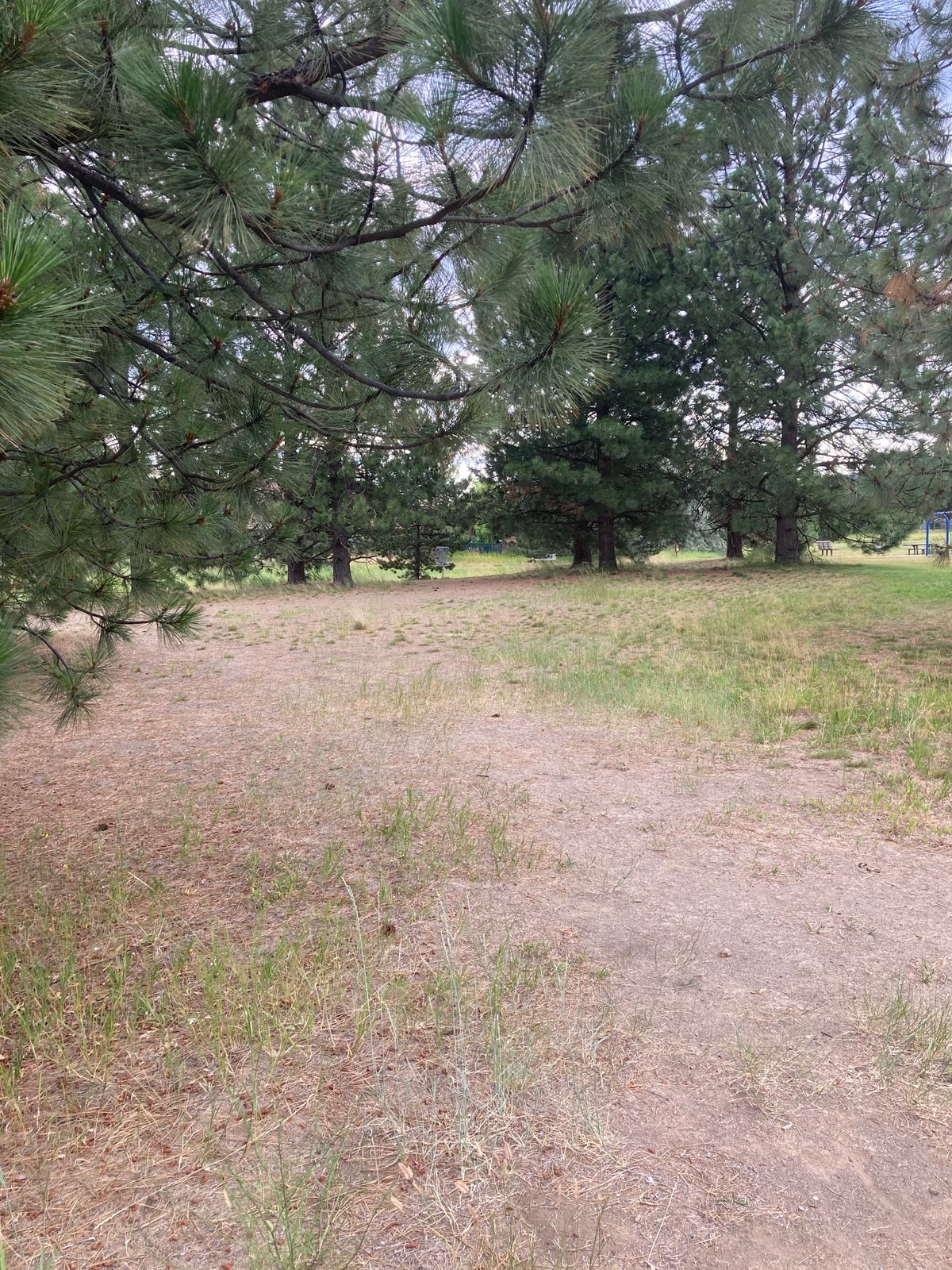 Hole one's fairway