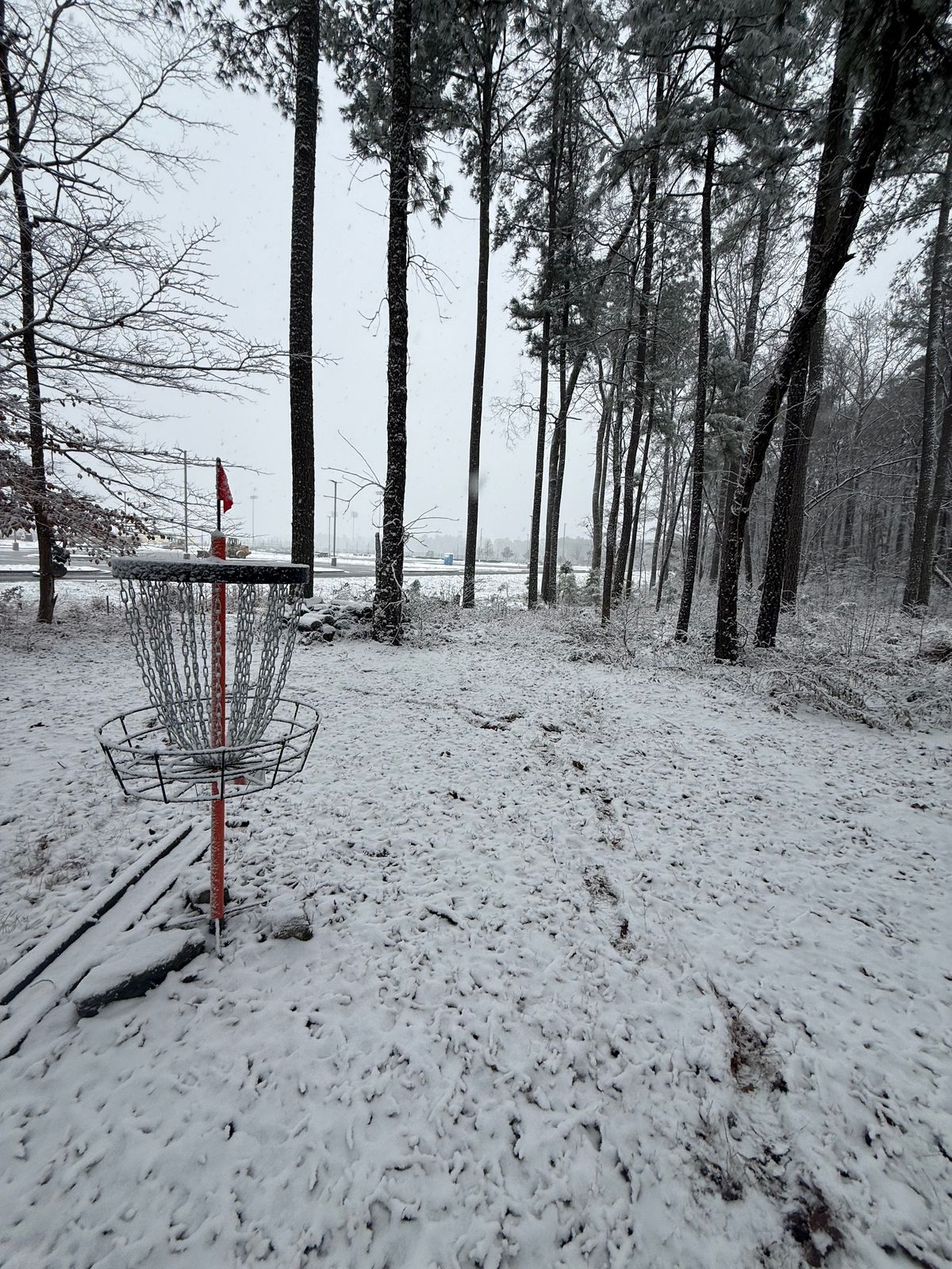 Hole 4 (2026 layout)