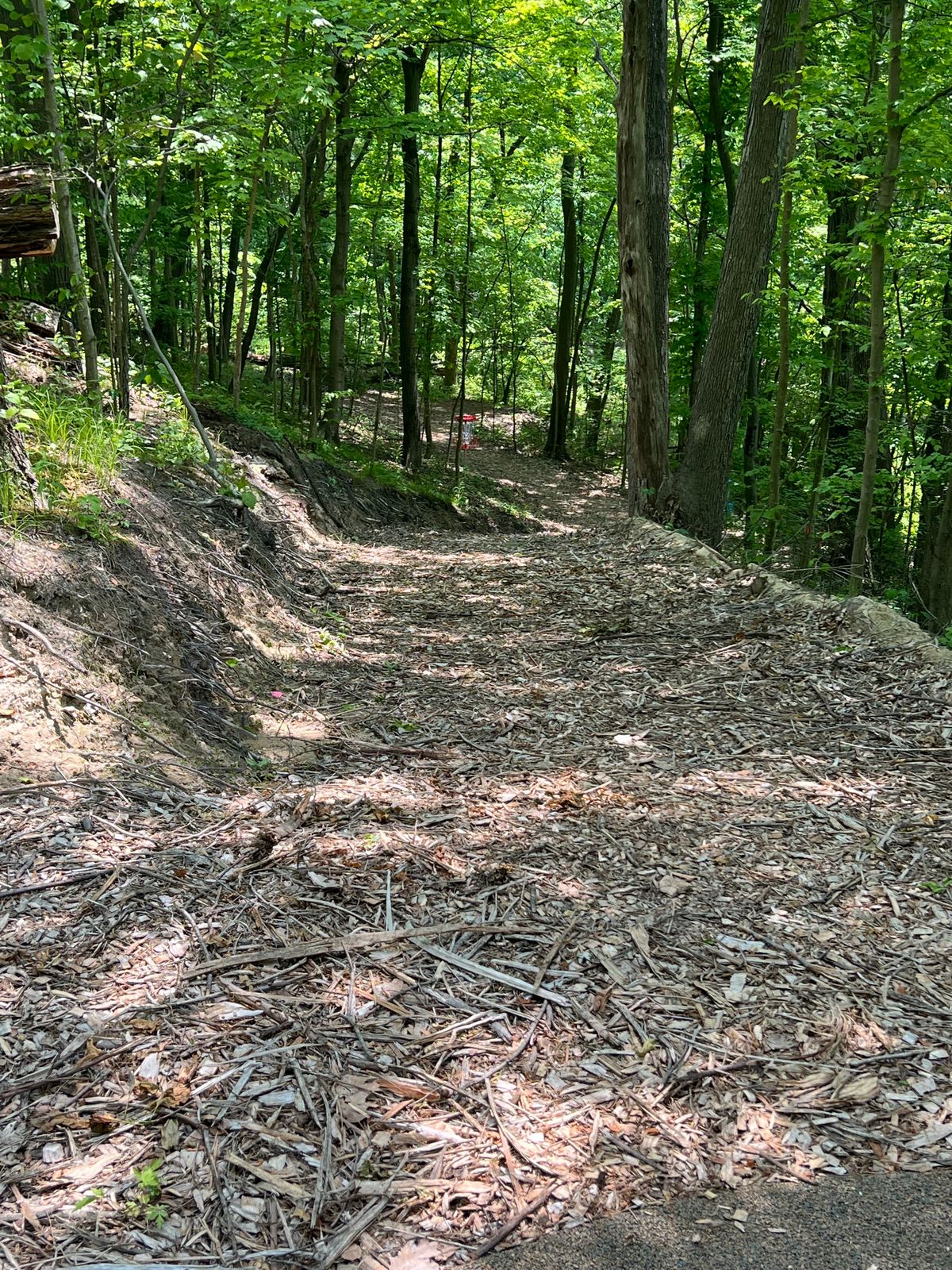 Hole 6 &
