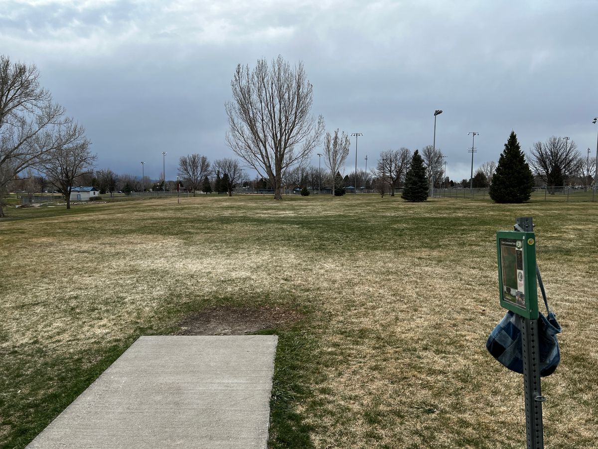 Hole 3. Behind tree in middle.