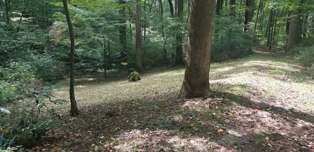 #8. View of hole 8 green
