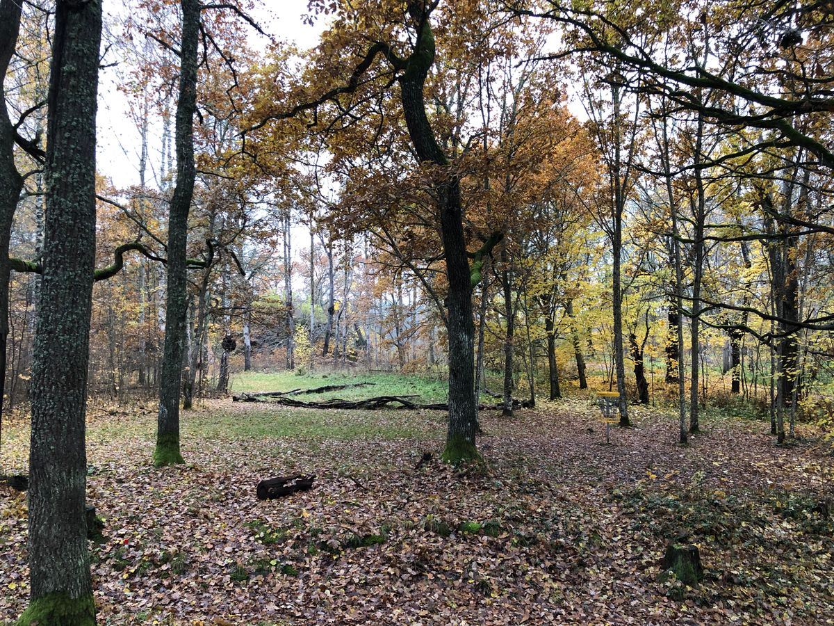 10a