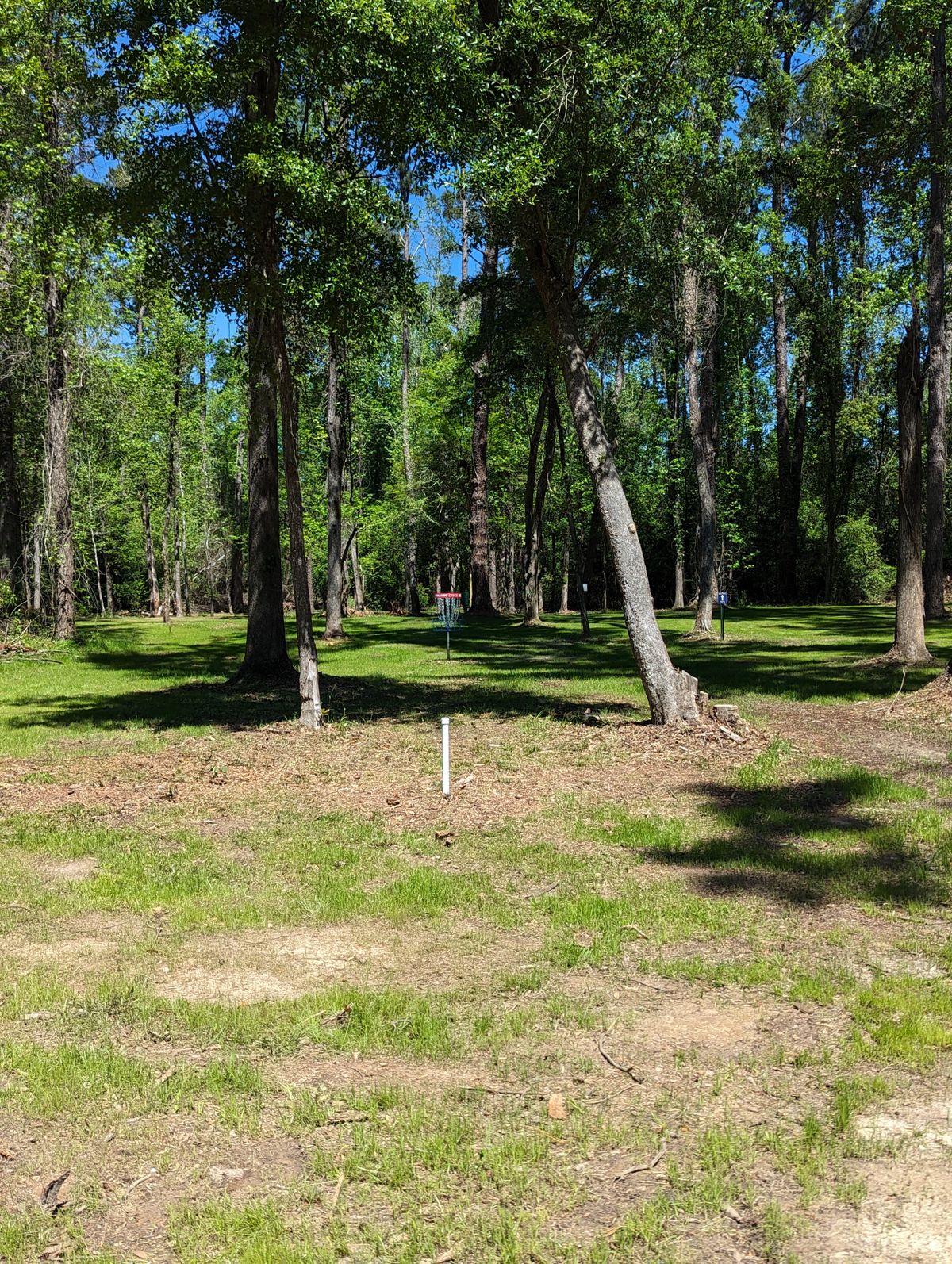 Hole 10 B and Veteran Pin Locations