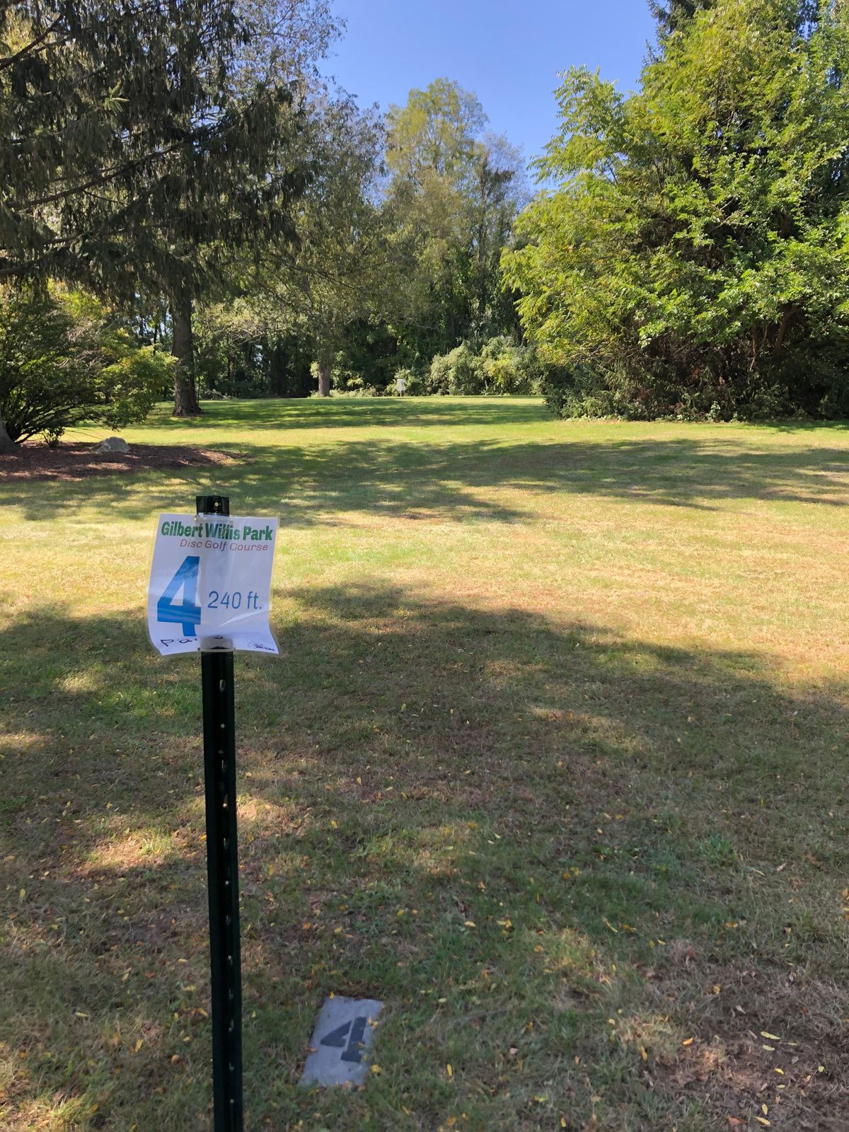 Hole 4 Long
