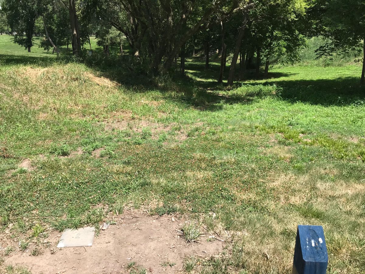 Hole #2 (basket through trees and on top of hill)