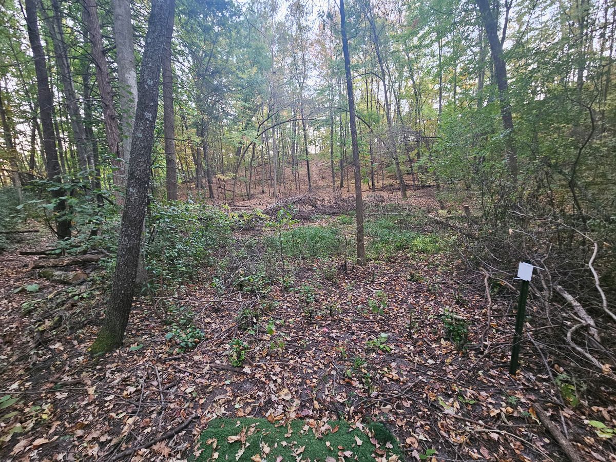 Hole 12