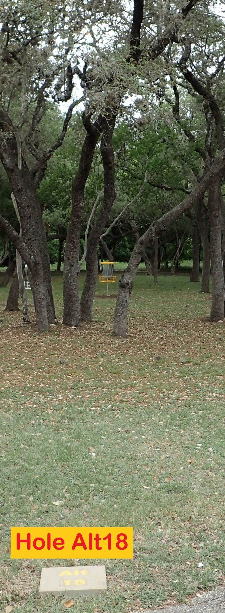 Hole Alt18