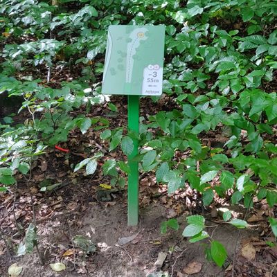 Hole 1 teesign