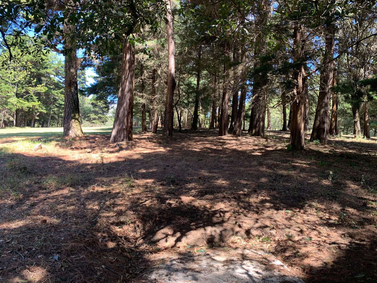 Hole #6 tee pad