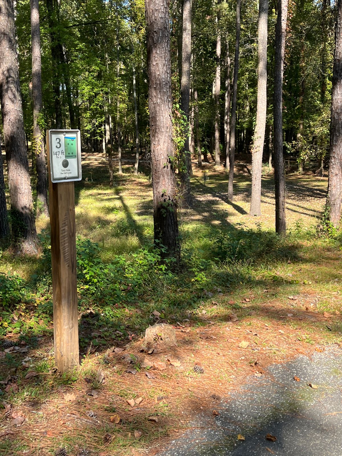 Hole 3 tee