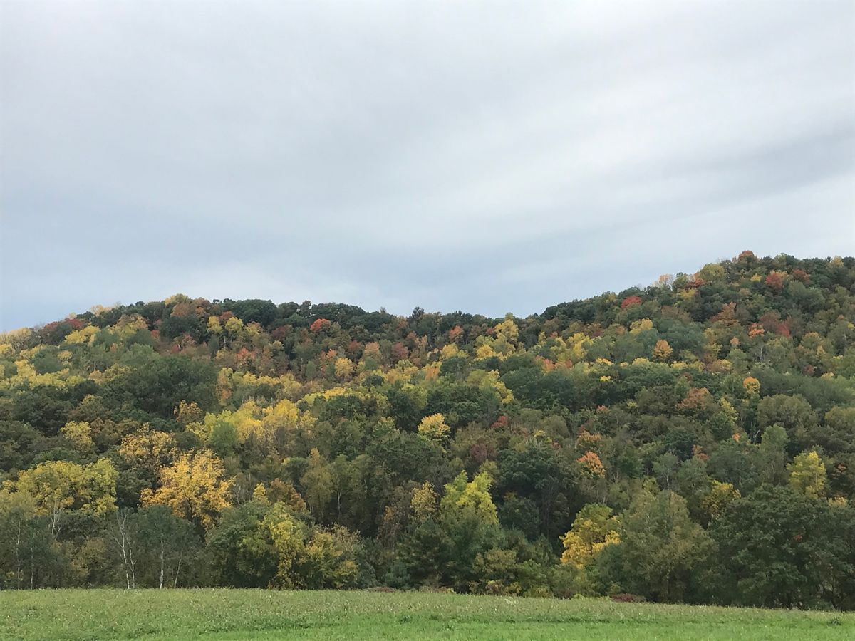 Incredible views