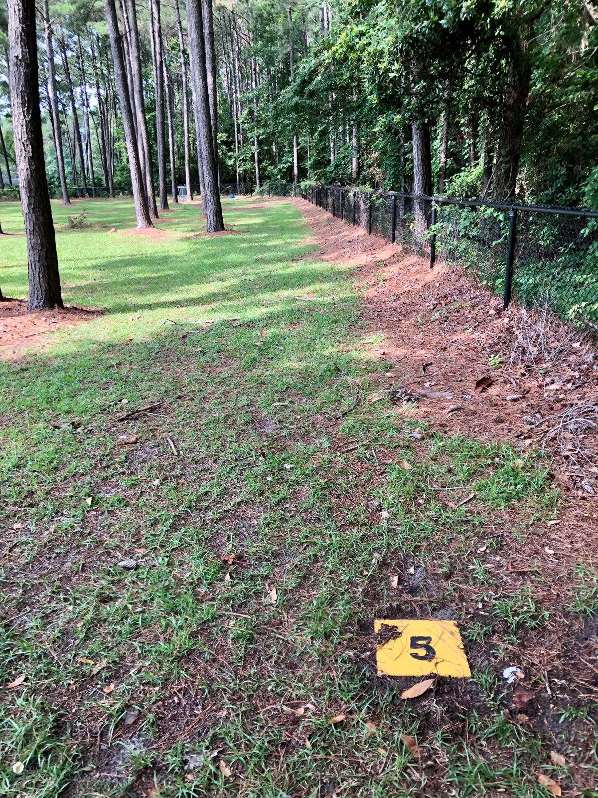 Hole 5 tee