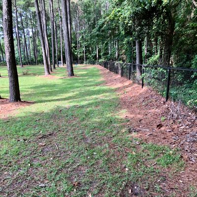 Hole 5 tee