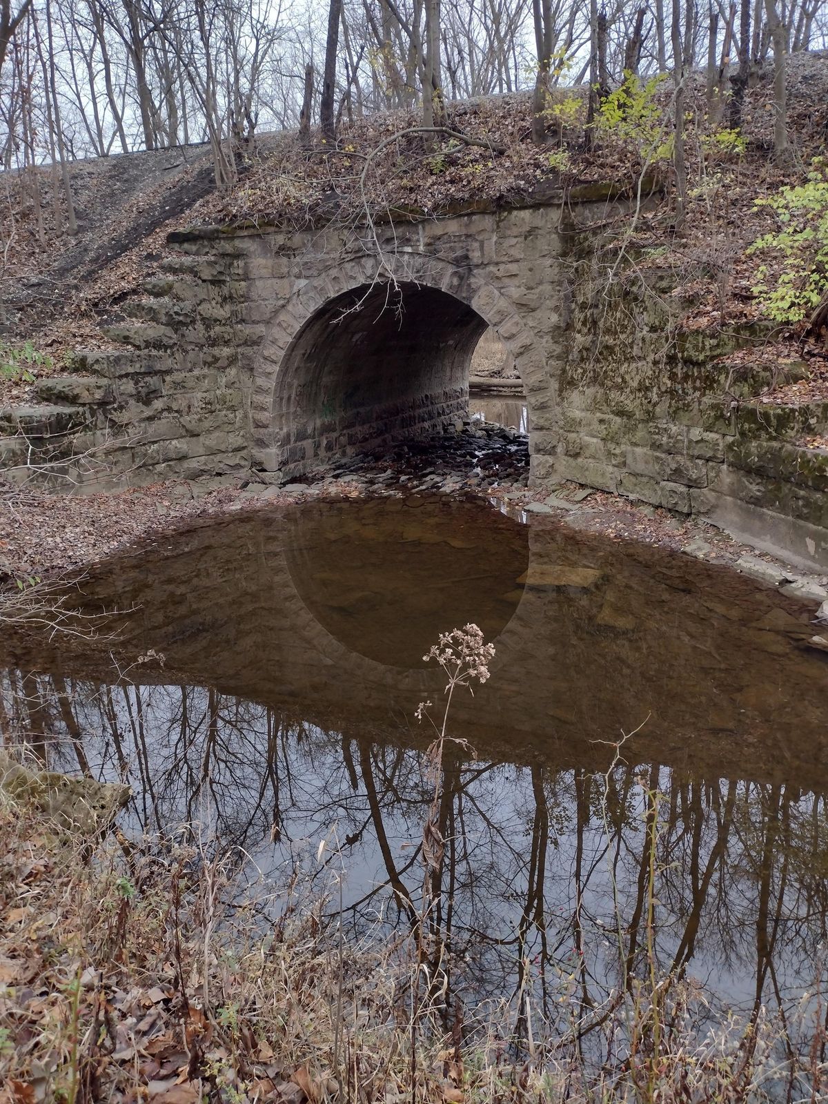 Shady Bridge