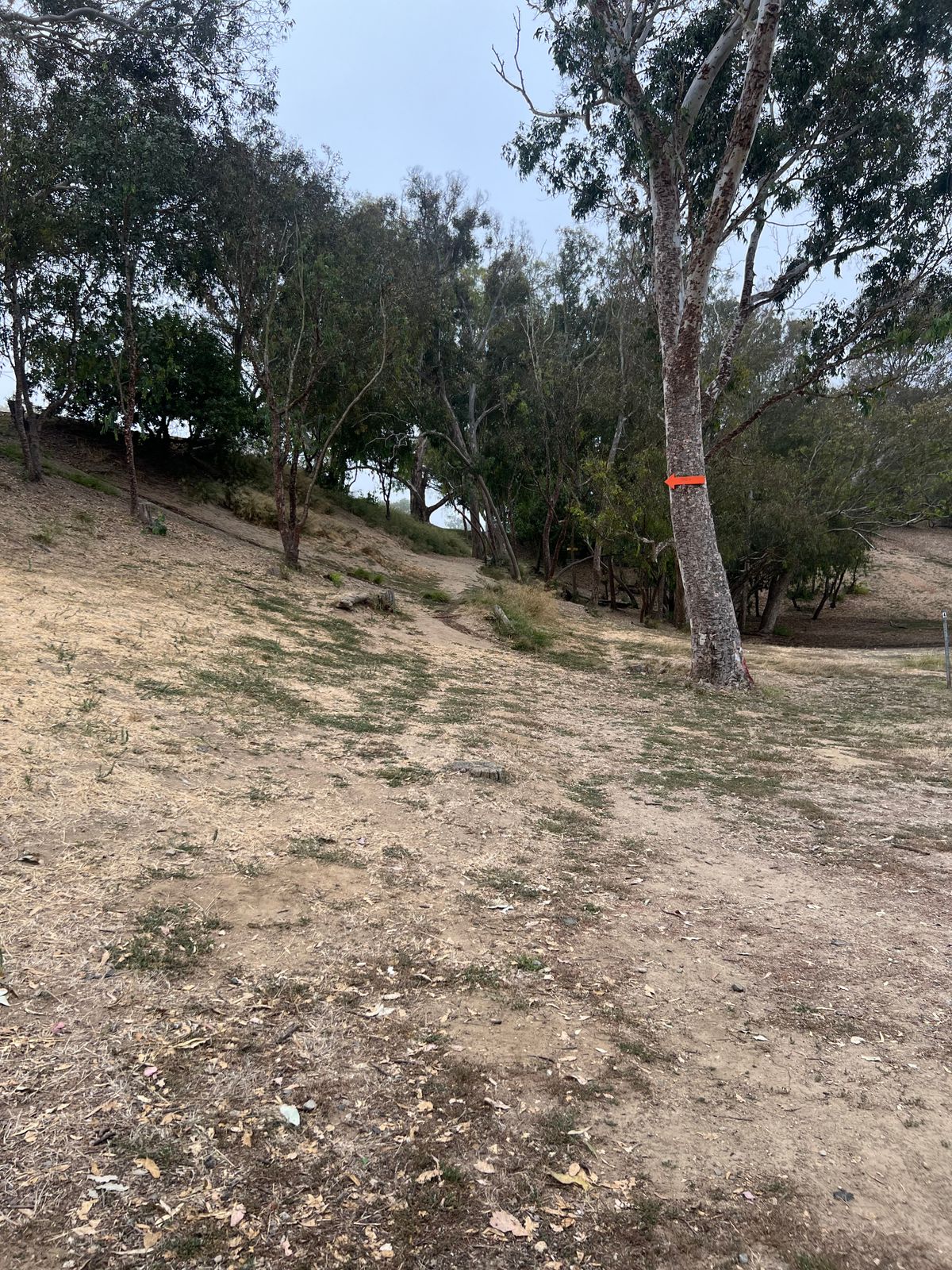Hole 4