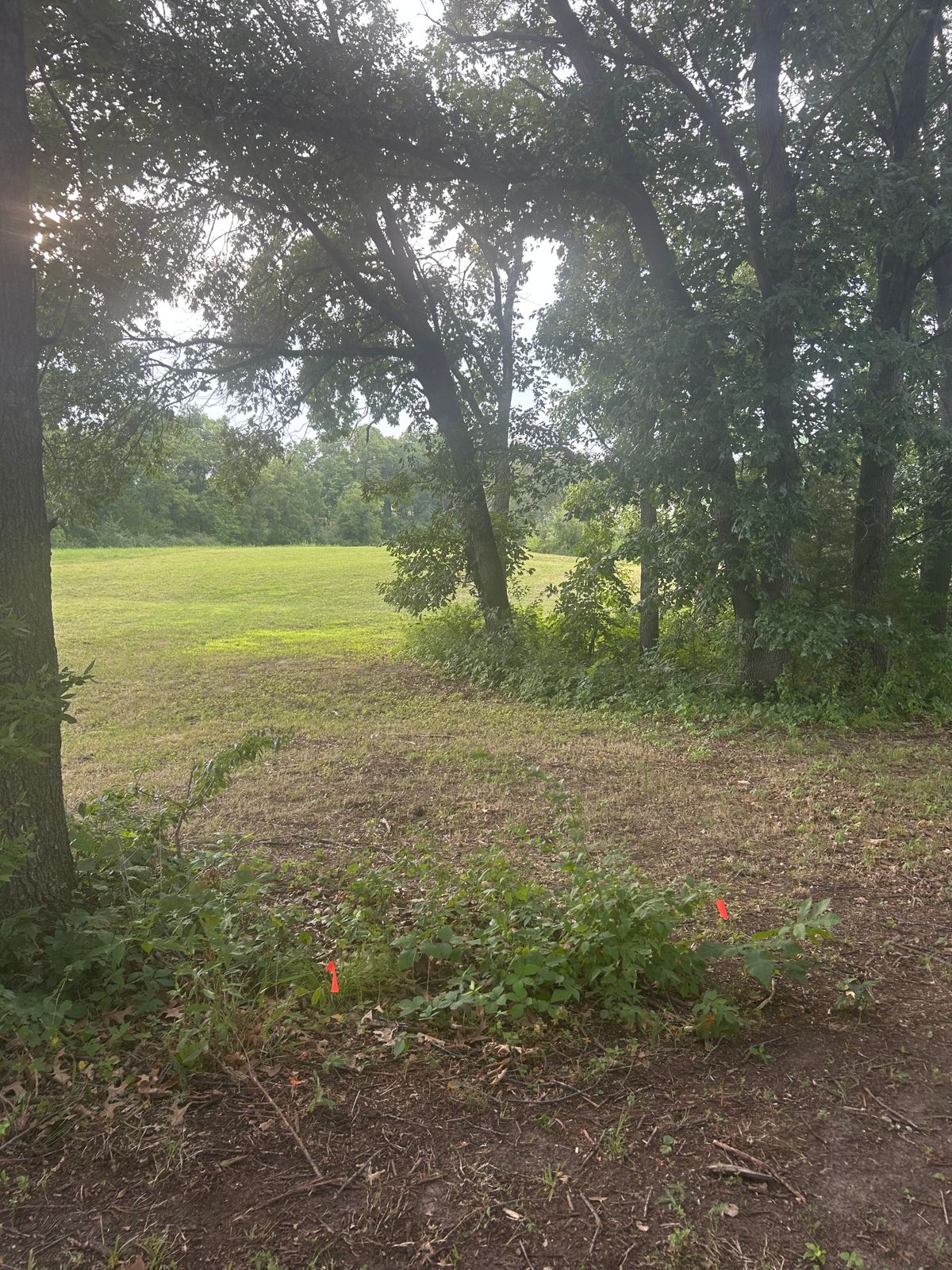 Hole 3 tough shot out of the trees