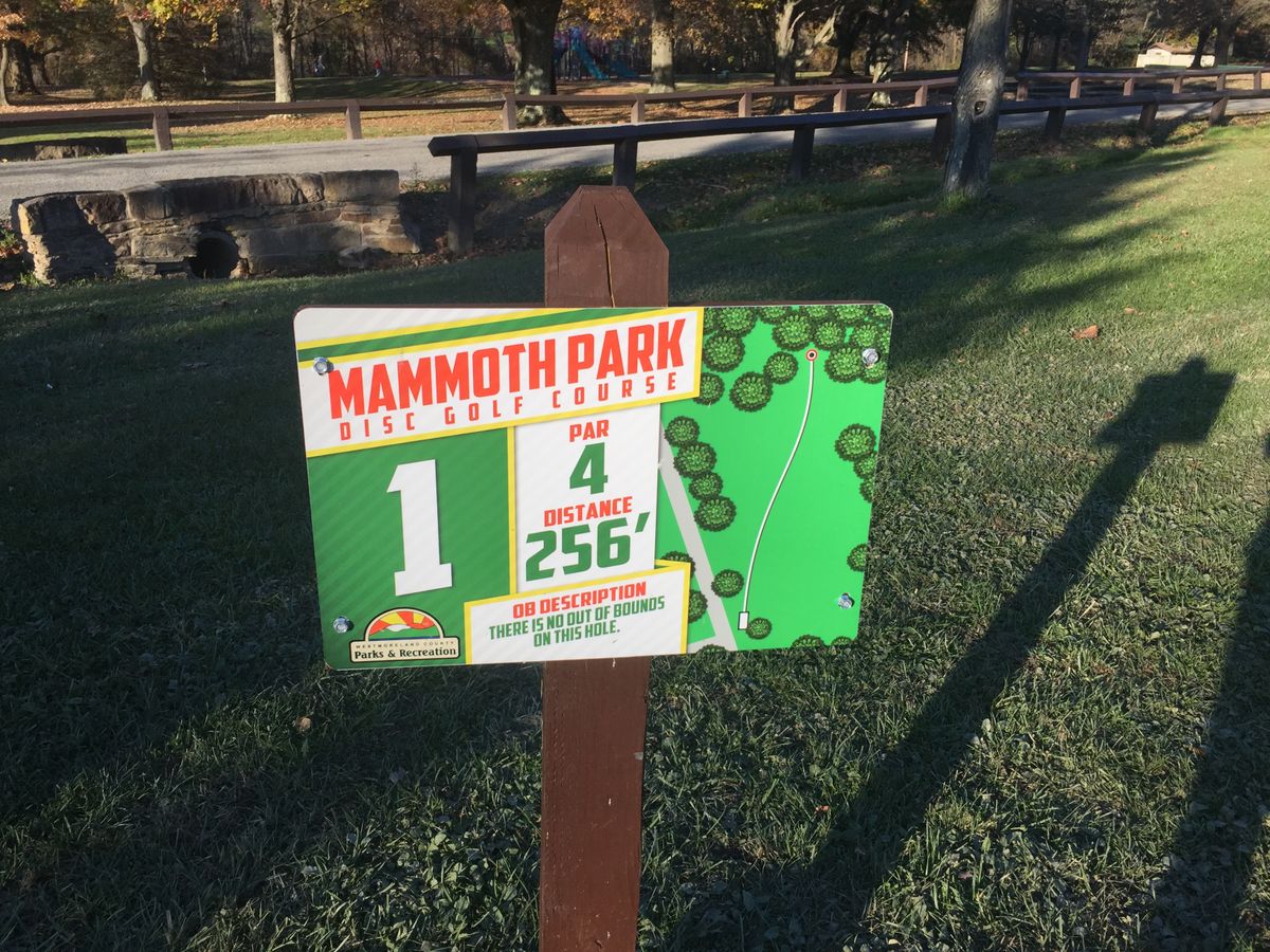 Hole 1 tee sign
