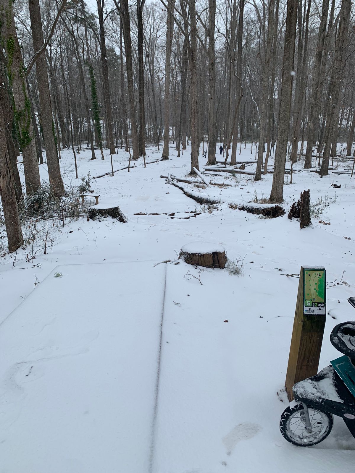 Hole 5 Tee Pad, Trails DGC……. Mount Snowvious