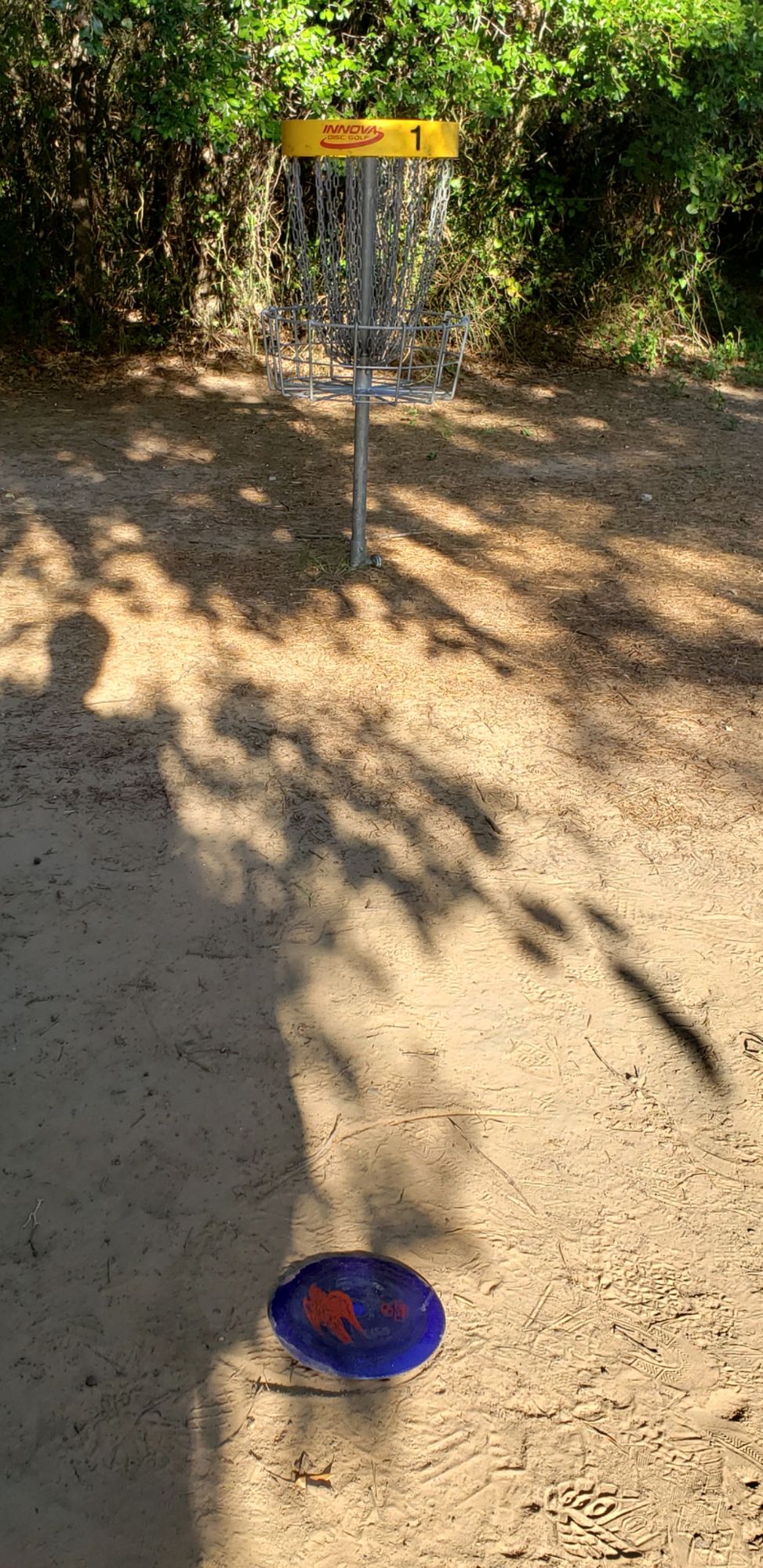 Best shot of the day, easy birdie.