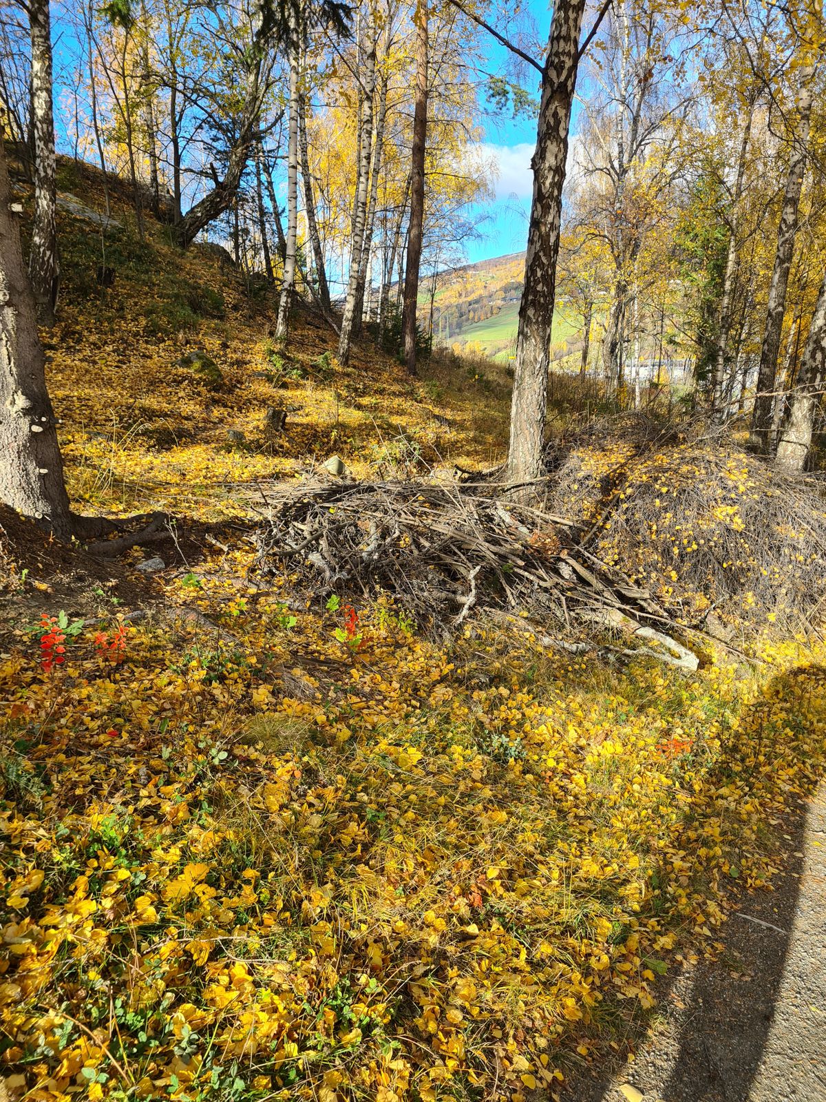 Ikke spillbare huller
