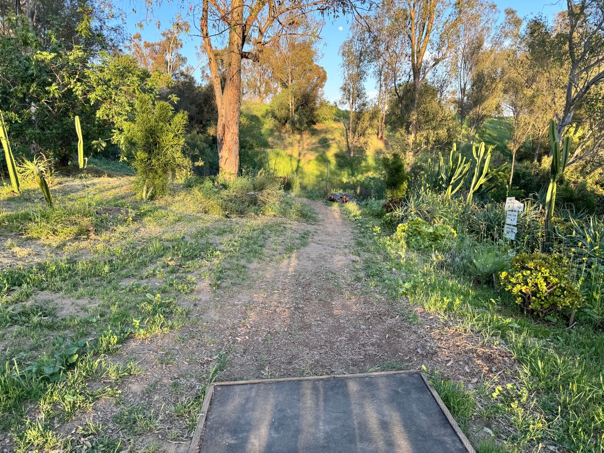 15 tee box