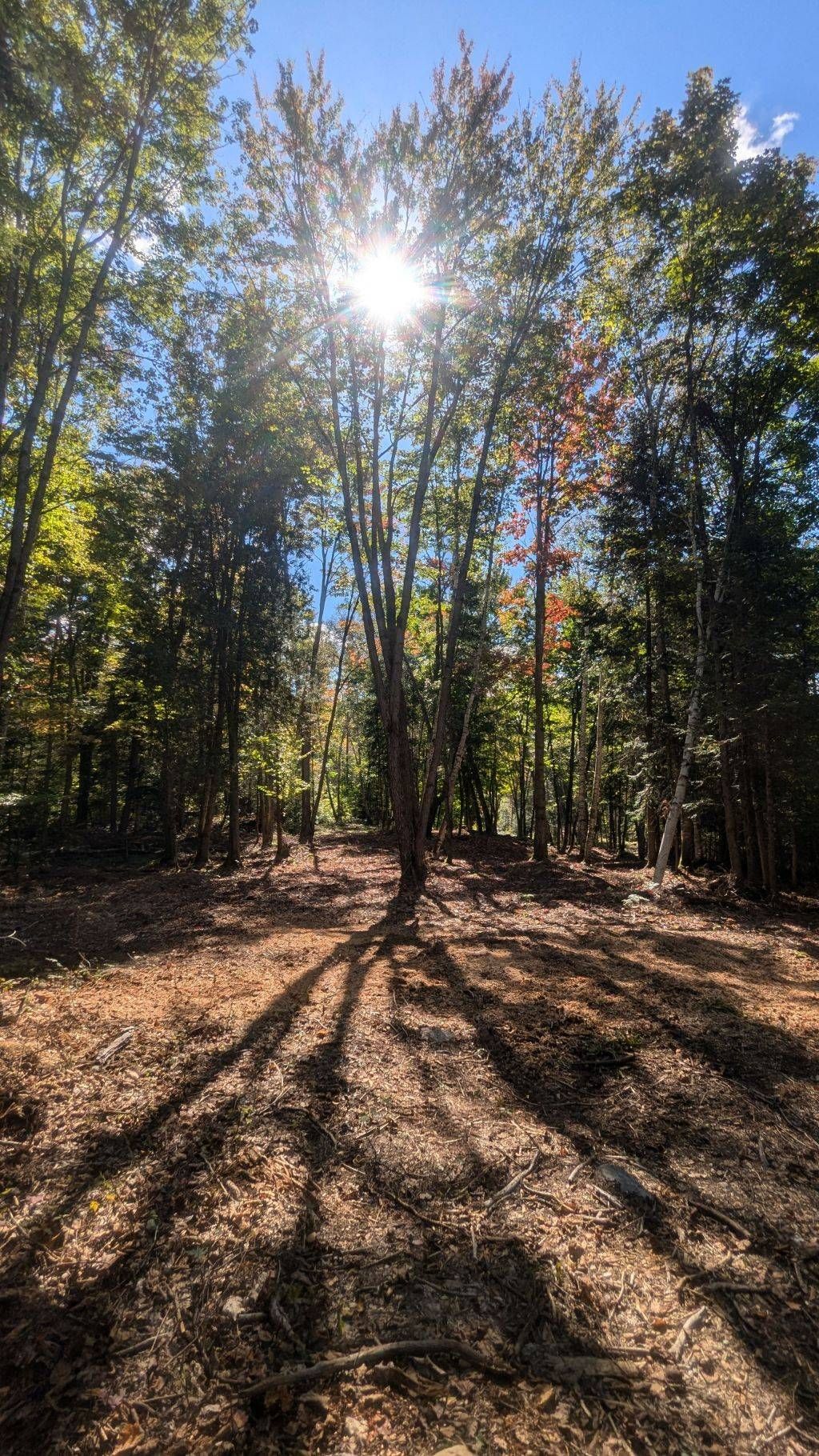Hole 9 Fairway
