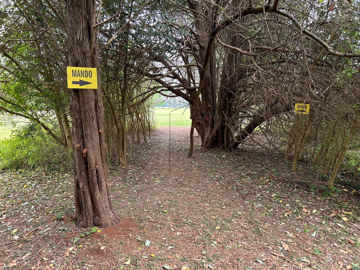 Hole 13 from the tee. No tee sign at time of picture. Tight gap.