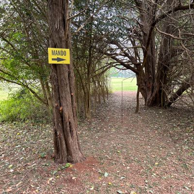 Hole 13 from the tee. No tee sign at time of picture. Tight gap.
