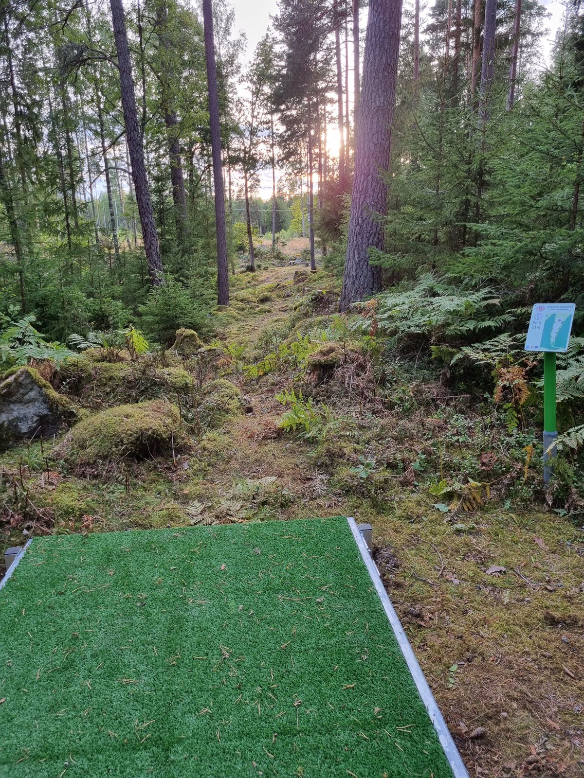 Hål 5