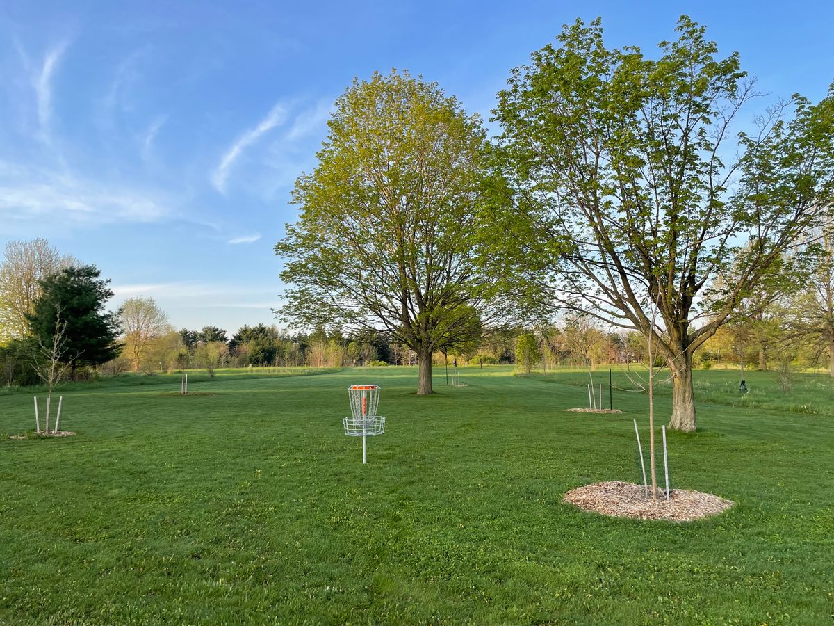Over a dozen new trees planted in the fall of 2022