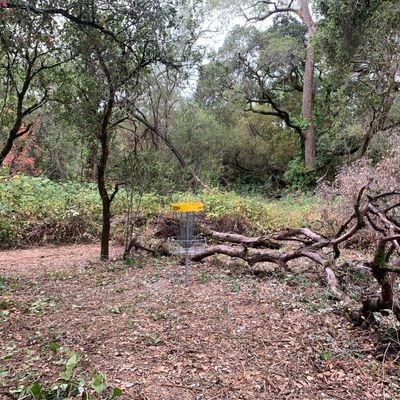 Hole 15