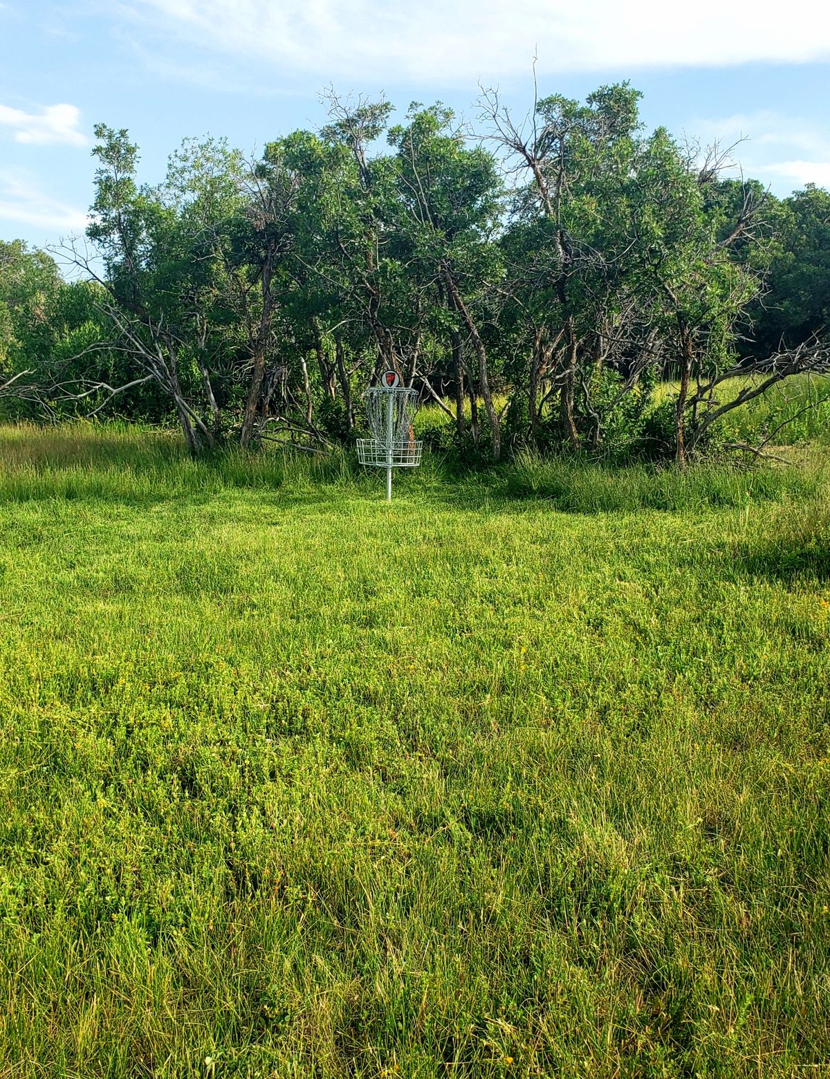 Hole #7 The best hole to see moose!