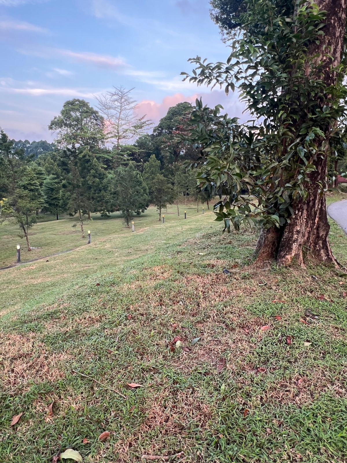 View of the fairway and the well protected green on Hole 15 from the tee area.