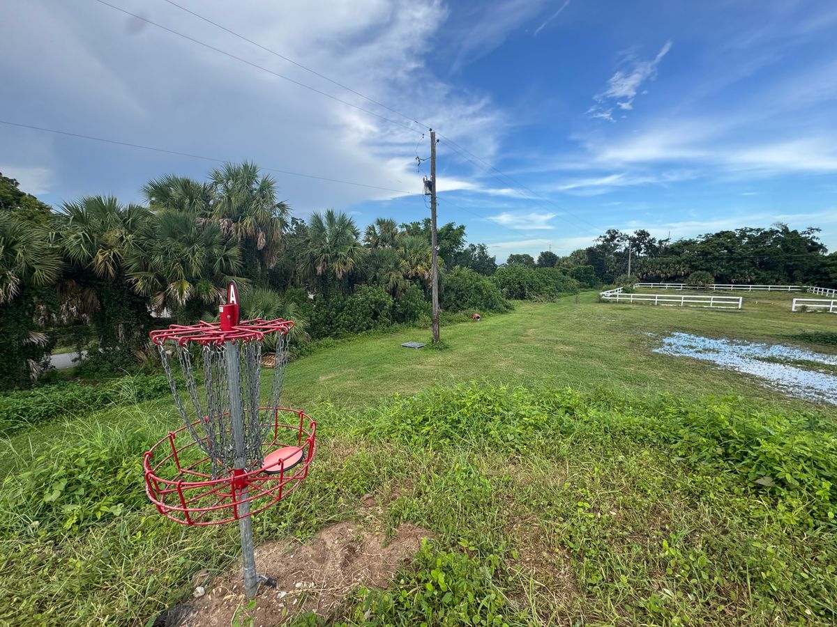 hole 7 basket on top of hill