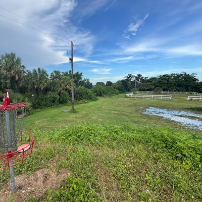 hole 7 basket on top of hill