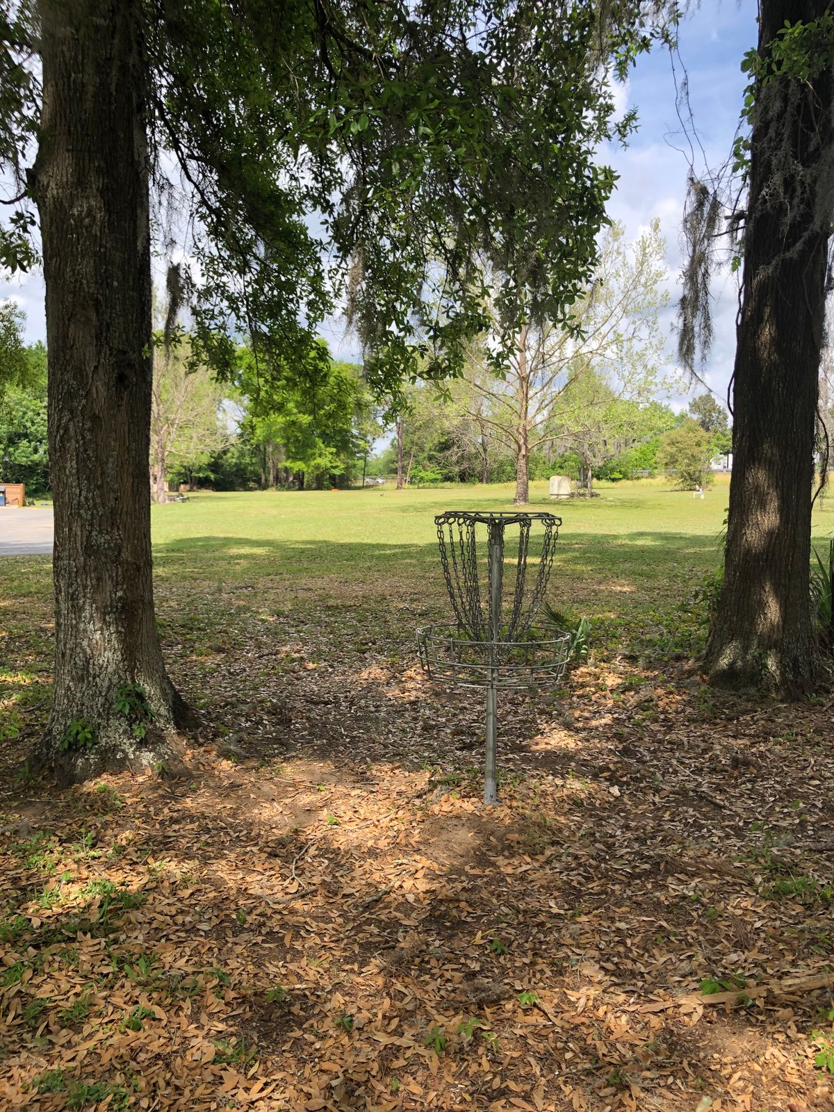 Hole 12, basket to tee