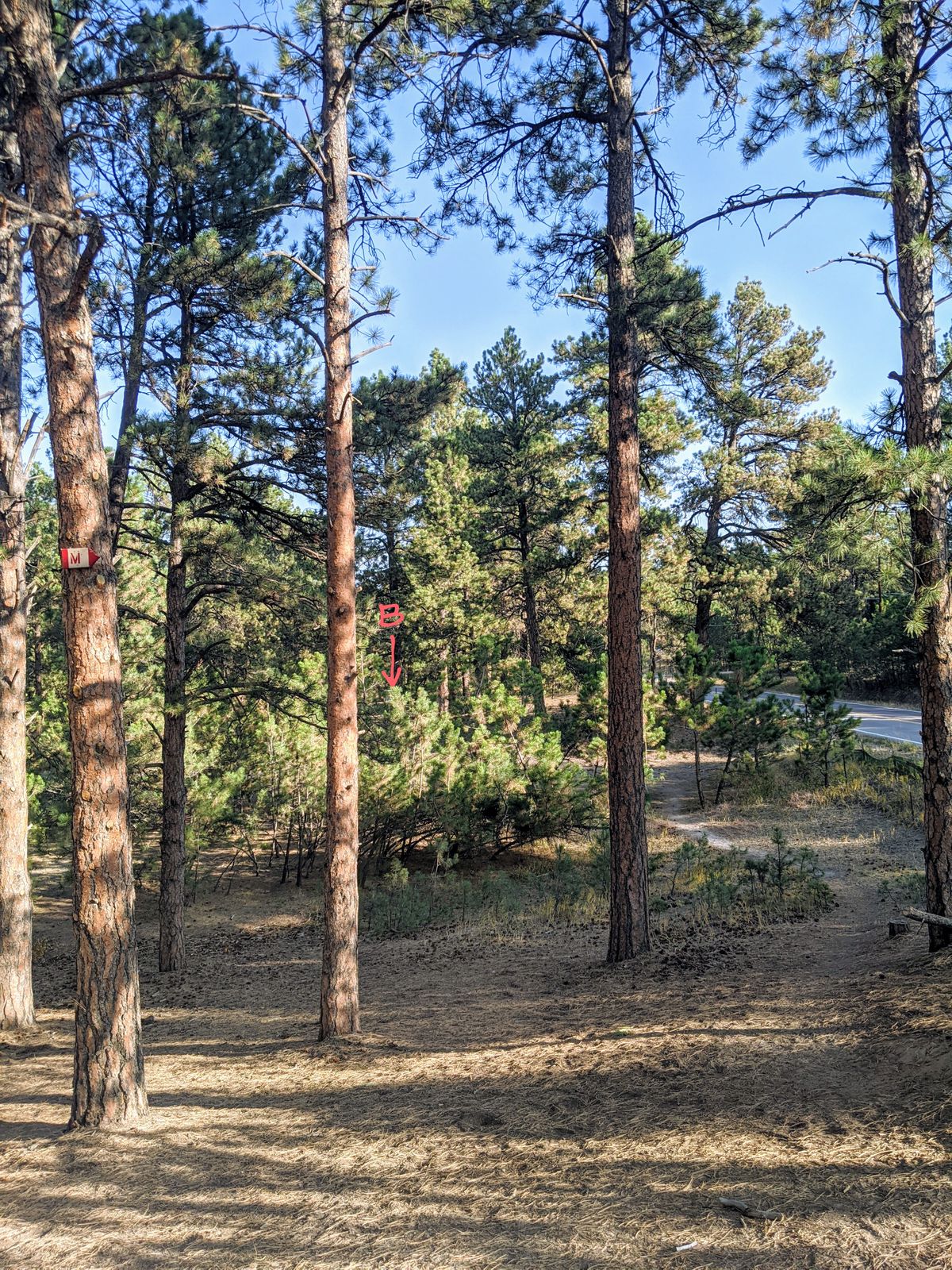 View from the top of the first ridge off the tee. You can see the mando on the left.