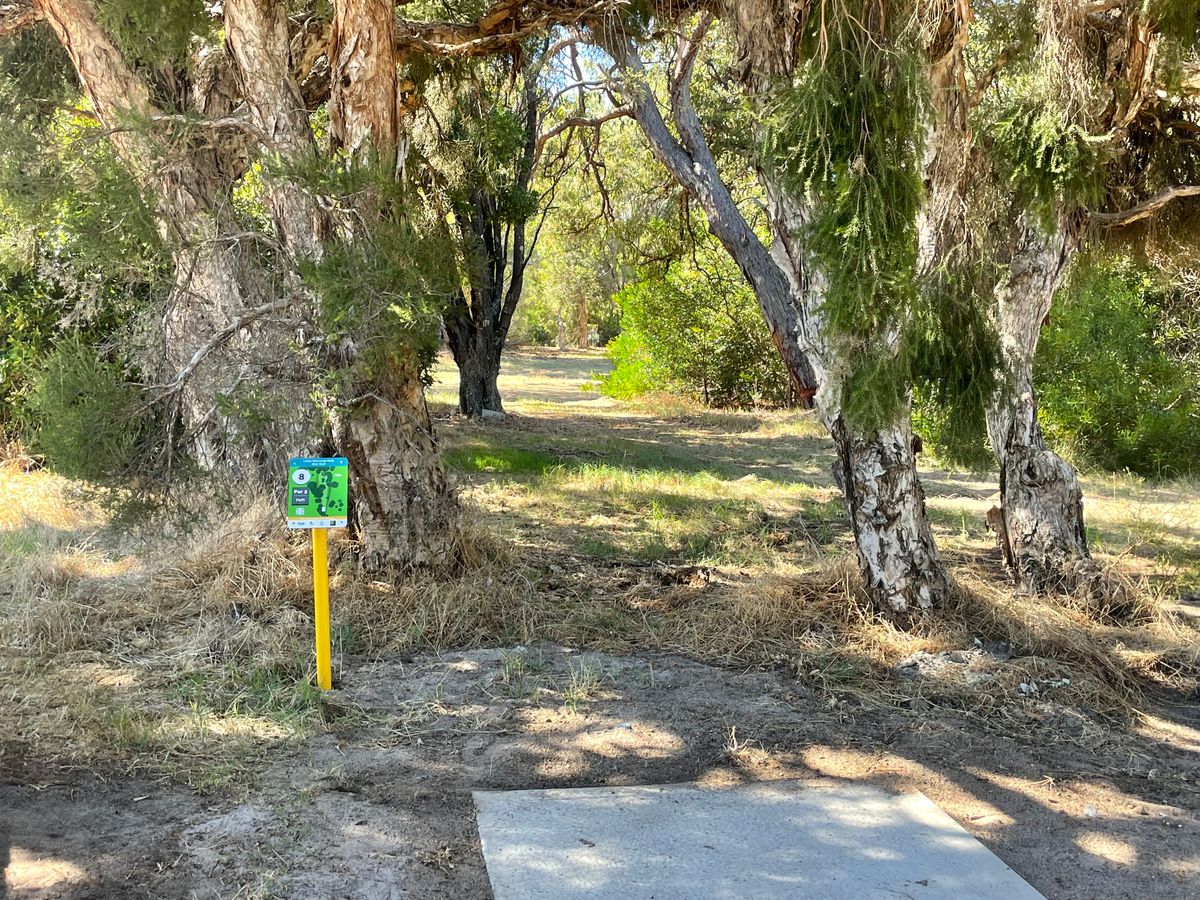 Hole 8 tee