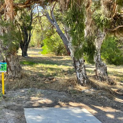 Hole 8 tee