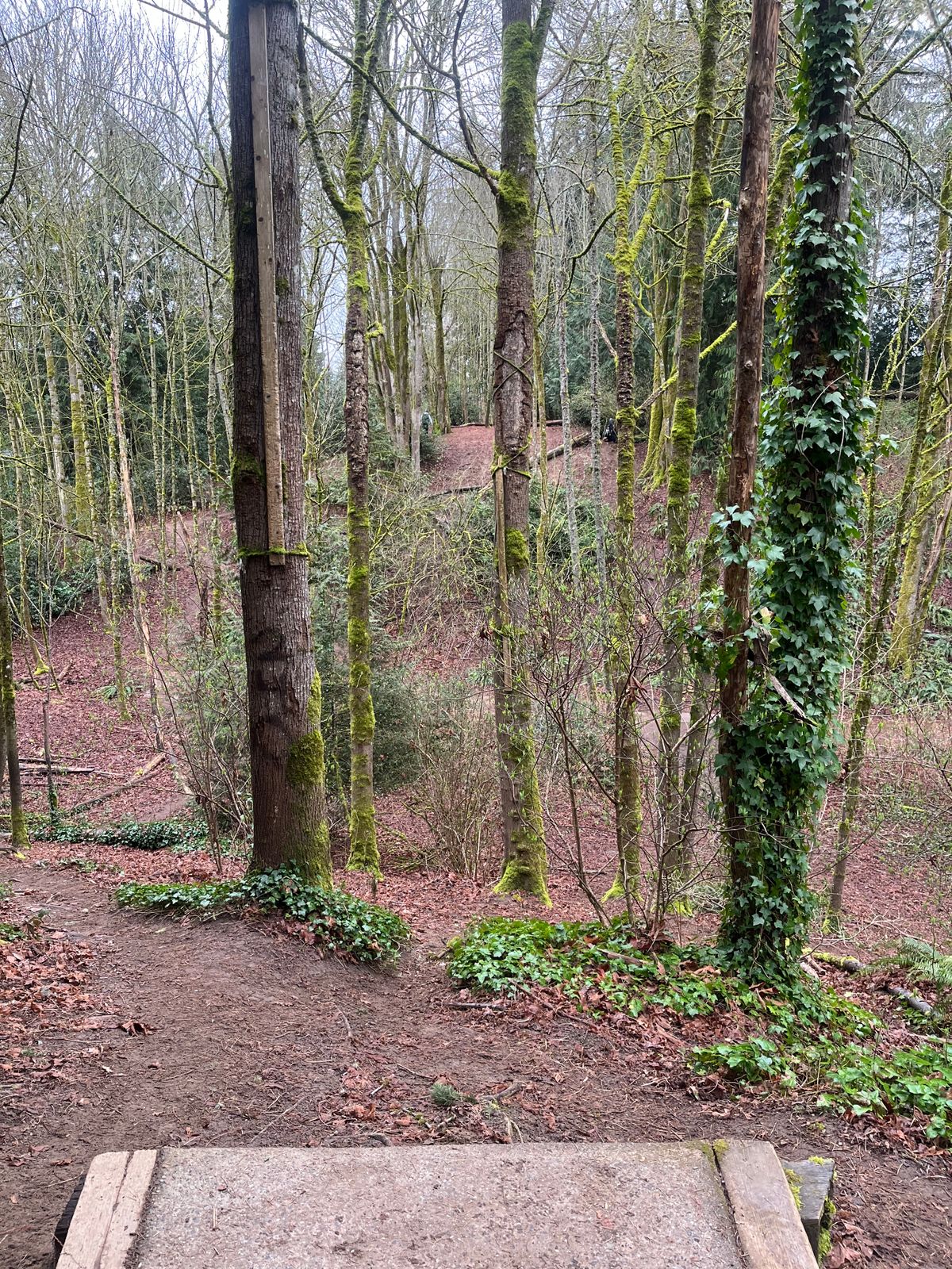Hole 3 tee.