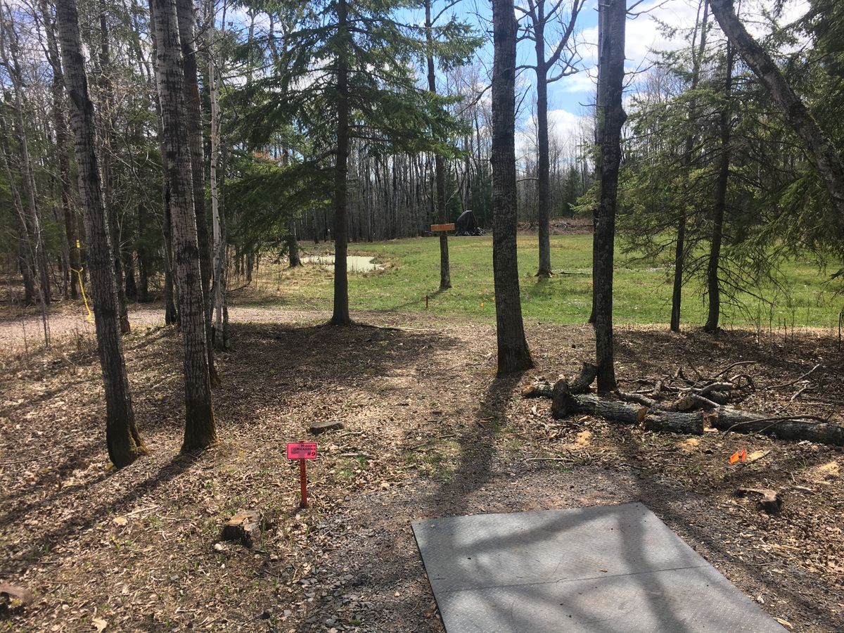 Hole 9 tee