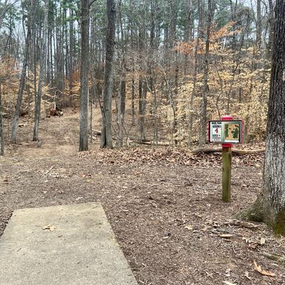 New tee sign and cleared fairway.