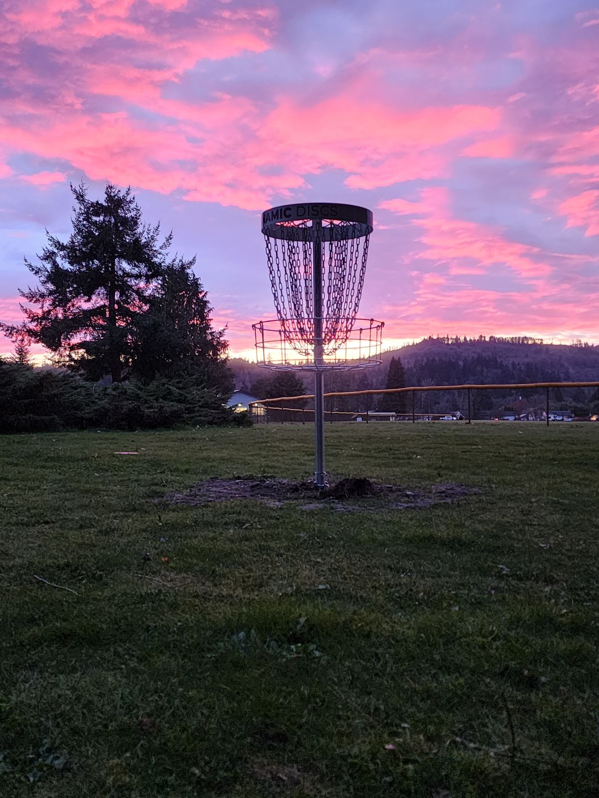 Hole #2 basket