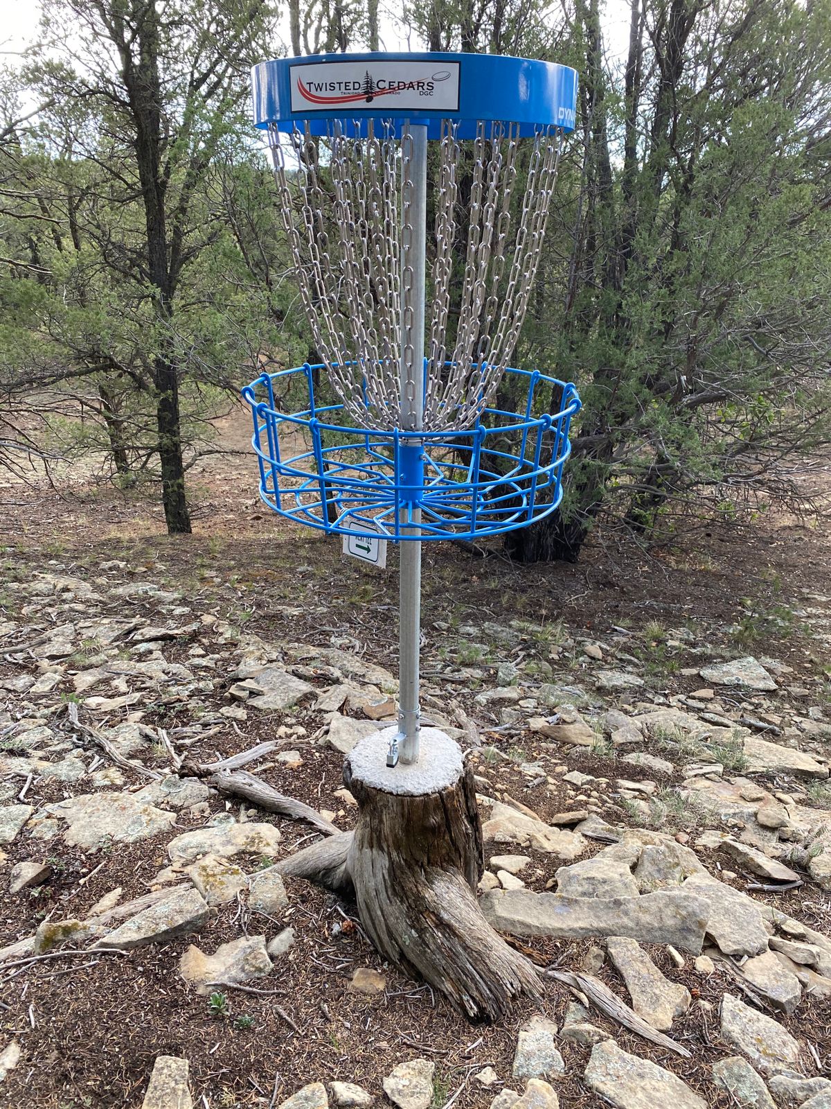 Unique basket placement