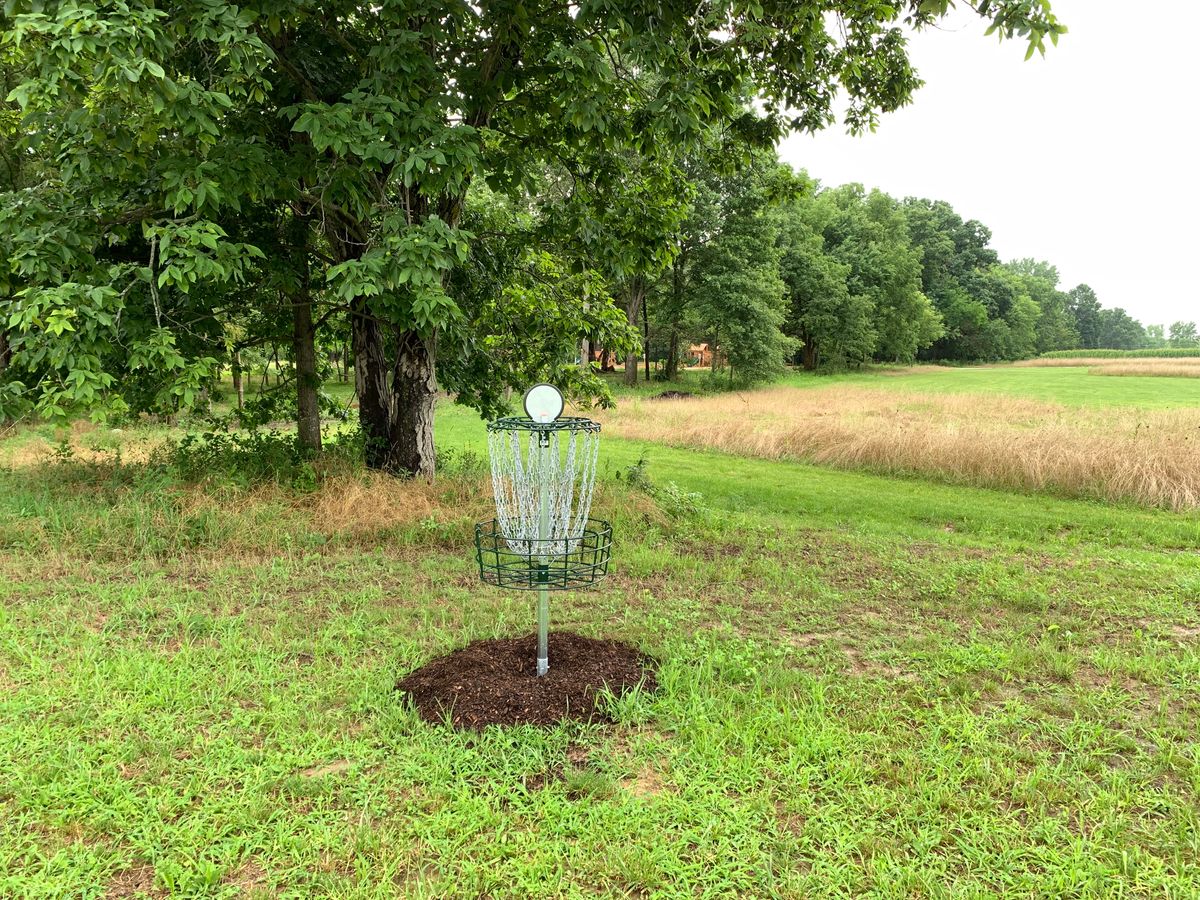 Hole 14 basket to tee