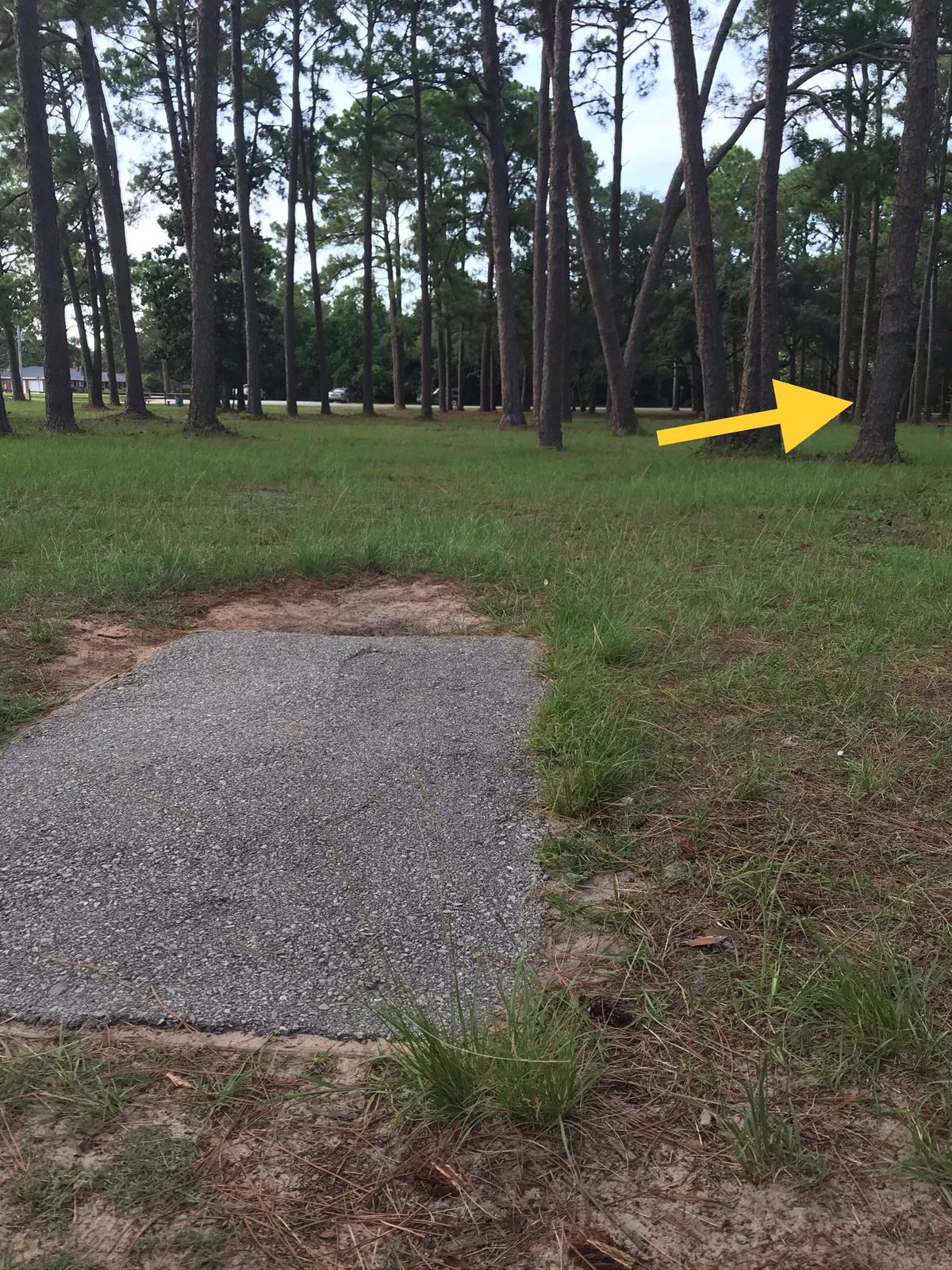 Amateur tee, 16th hole